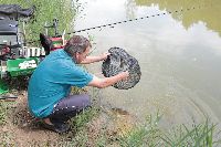 IMG_9958.jpg
